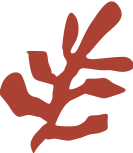 23567.png 23567.png