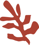 2356.png 2356.png